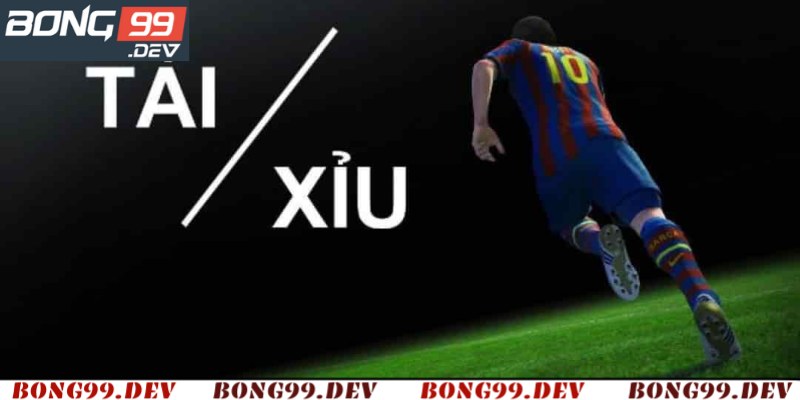 Cách cá cược tài xỉu qua mạng cho anh em nên biết