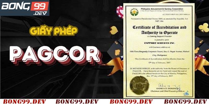 Chi phí và quy trình sở hữu giấy phép PAGCOR
