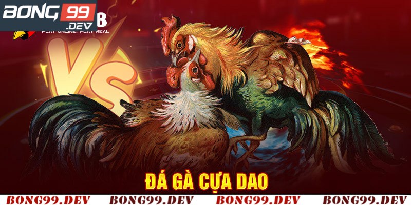 Đá Gà Cựa Dao – Một Số Phương Thức Chơi Thông Dụng Nhất