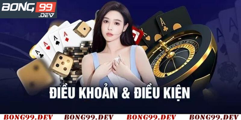 Điều khoản và điều kiện đối với người dùng