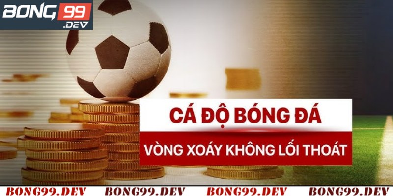 Những hậu quả khi liên tục thua cá độ bóng đá