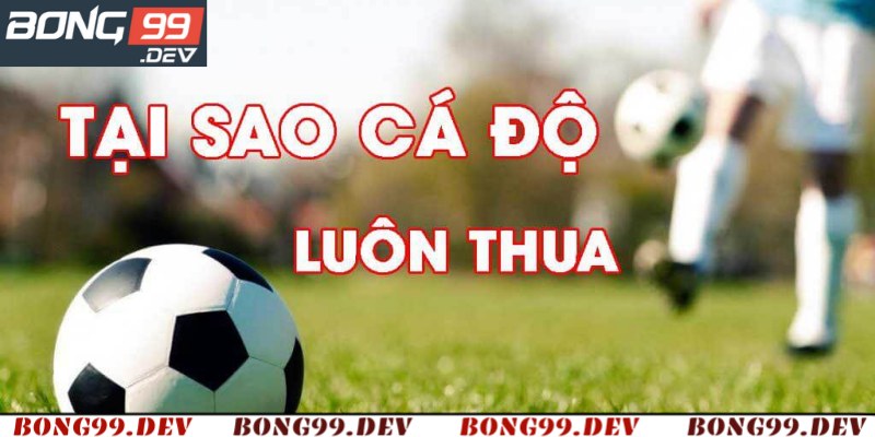 Tại Sao Cá Độ Bóng Đá Luôn Thua? Cùng Bong99 Tìm Hiểu
