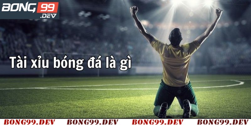 Tìm hiểu thông tin cá cược tài xỉu là gì?